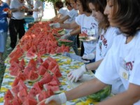 LA CUCOMBRA SAGRA DEL COCOMERO E DEL MELONE