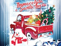 IMMACOLATA & SANTA LUCIA in TAVERNA