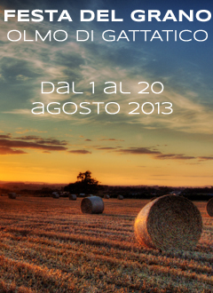 pin_festadelgranoolmo1