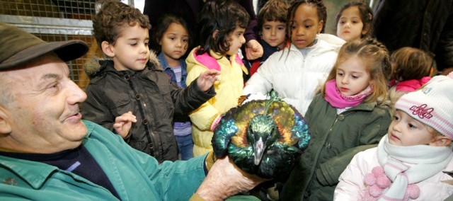 ornitologica fiera reggio emilia