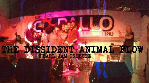 Dissident Animal Flow