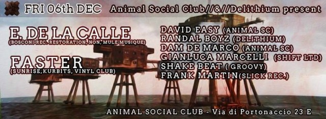 animal6dicembre